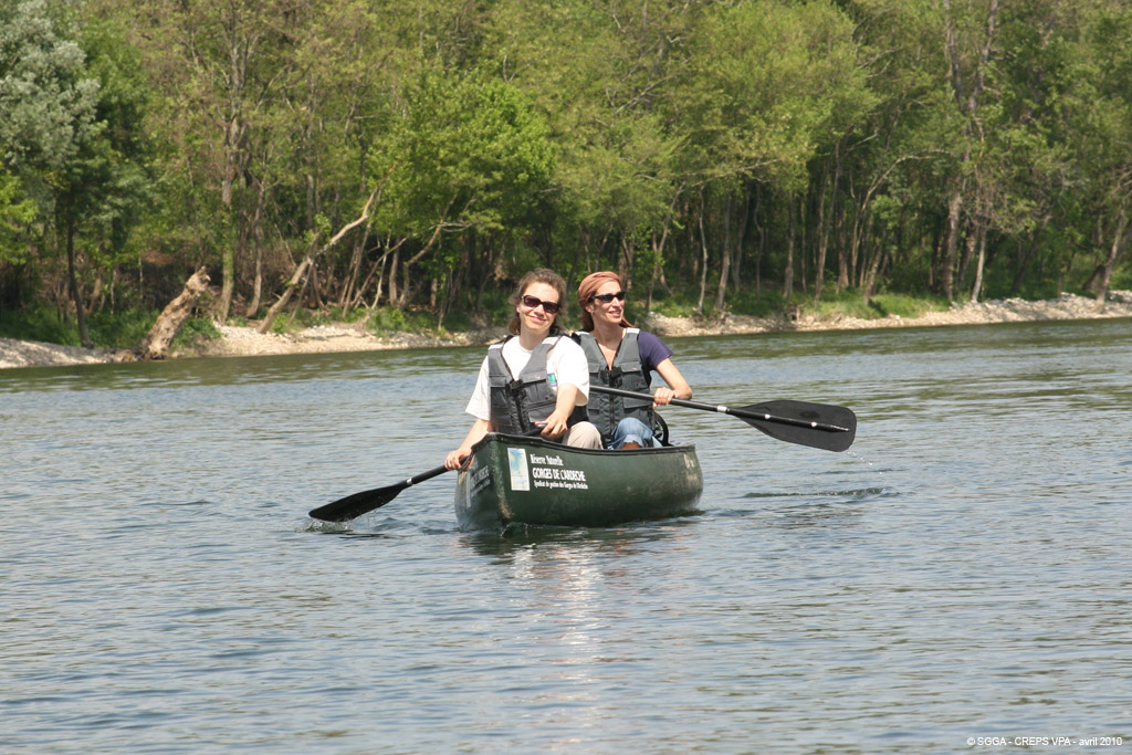 20100429_044