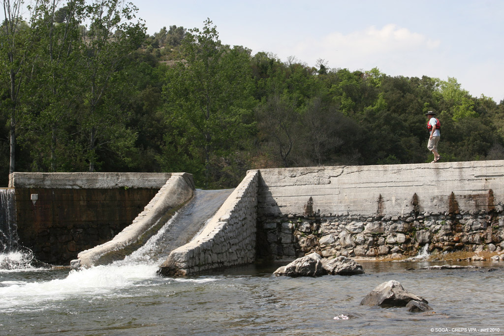 20100429_050