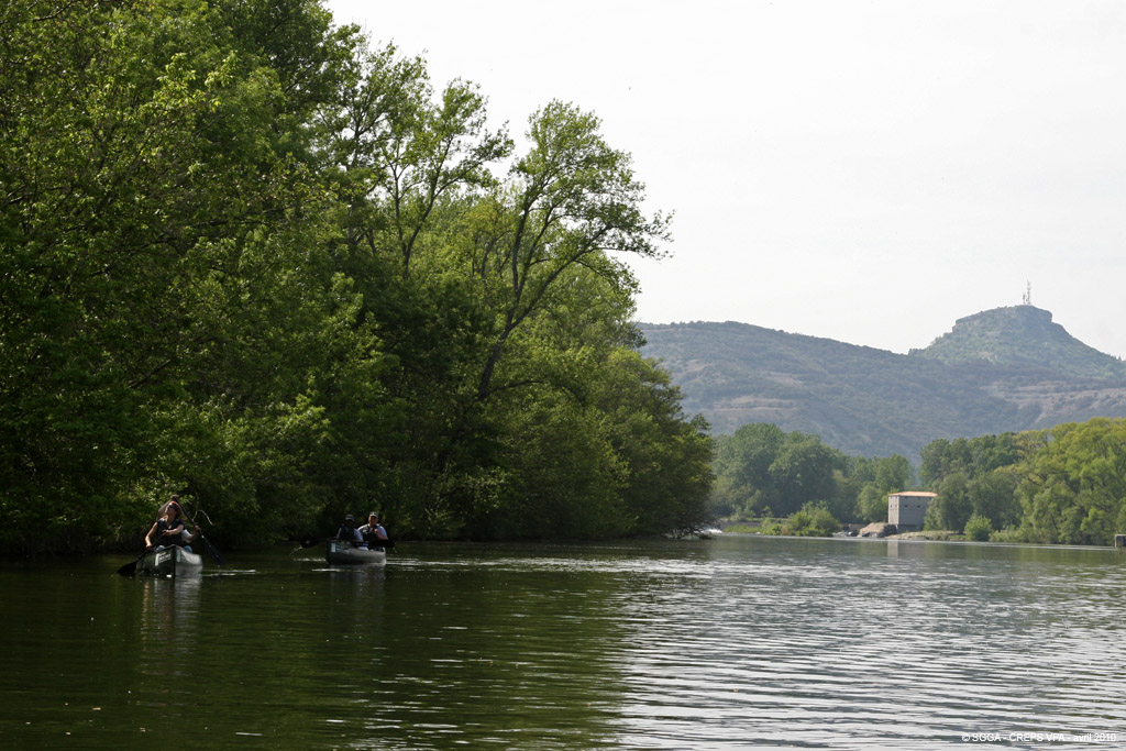 20100429_162