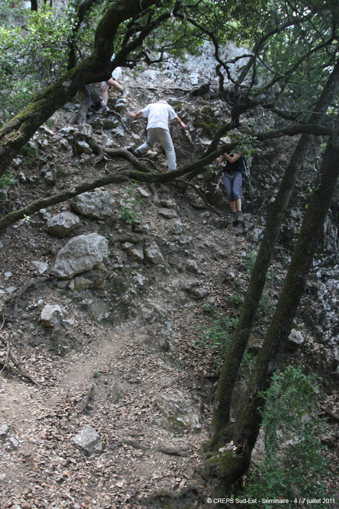 20110706r_069