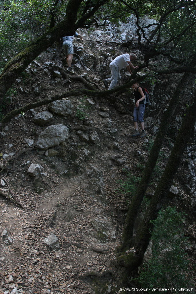 20110706r_070