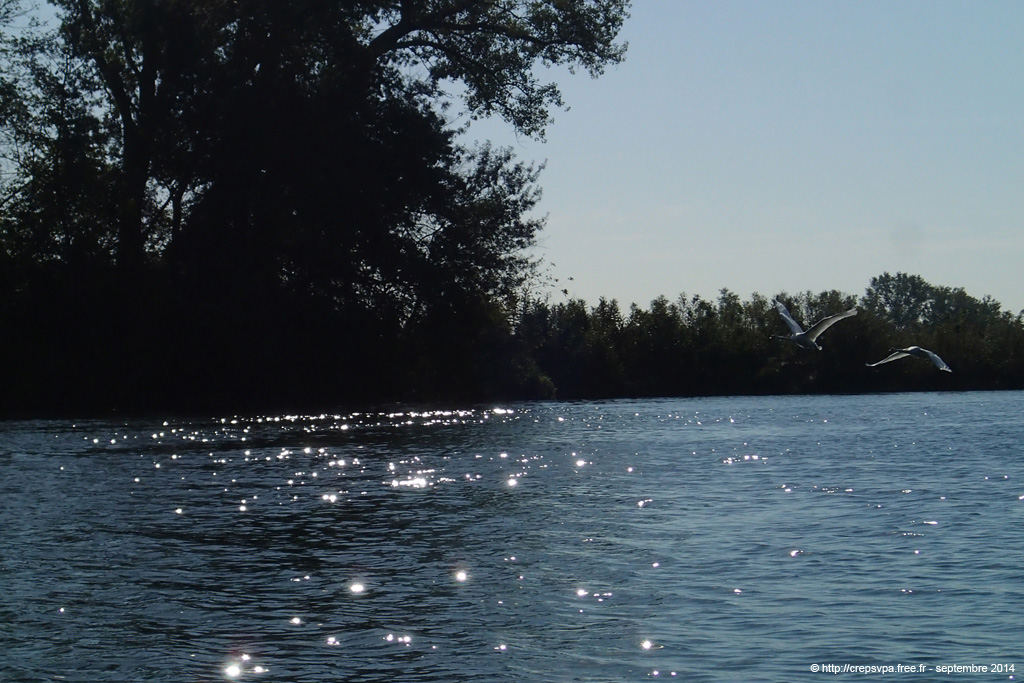 20140926ca047