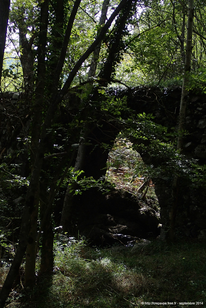 20140923vt114