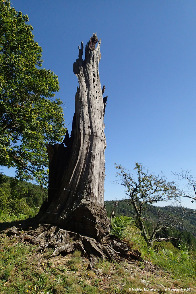 20140904_072