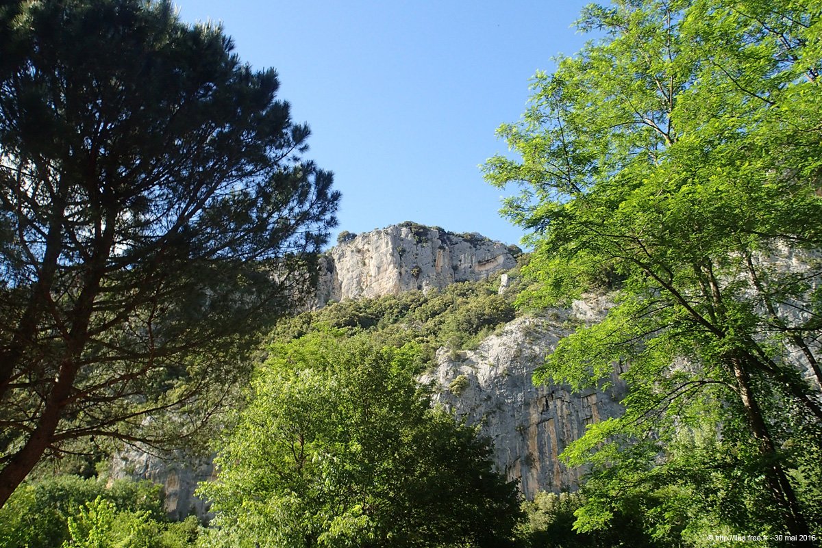 20160530_21