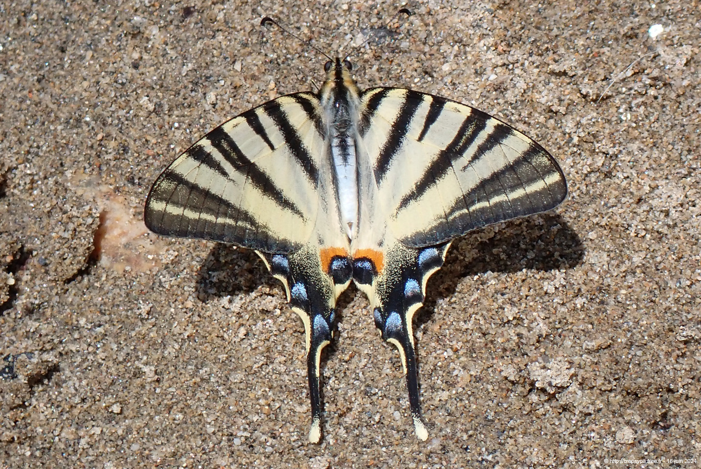 20250616ck050