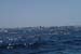 20140416_126