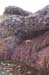 20190320_029