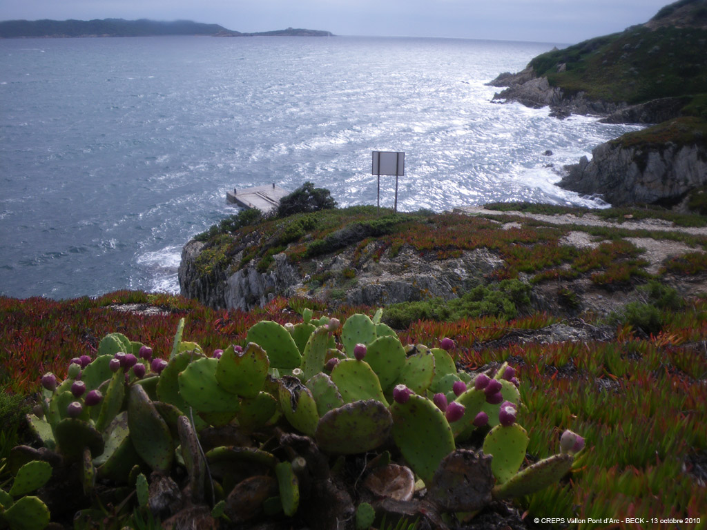 20101013a_048