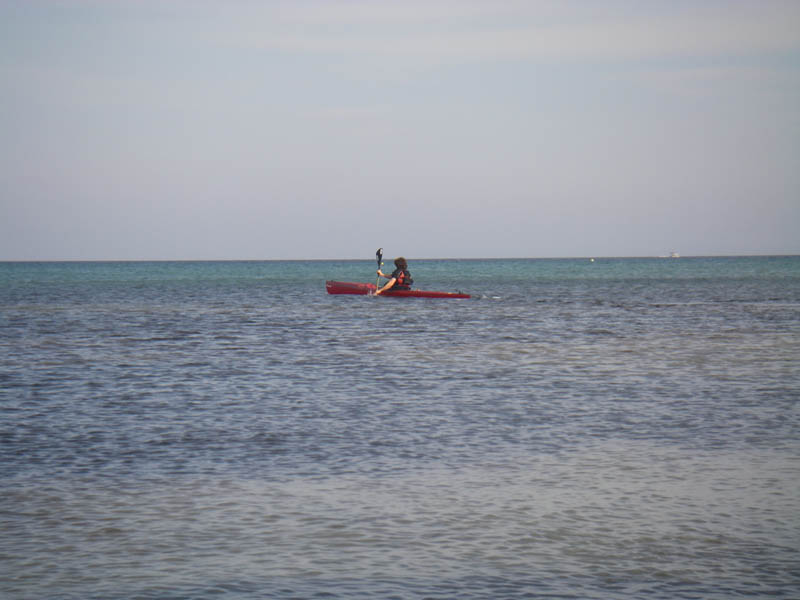qm02_05