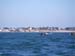 20100309_022
