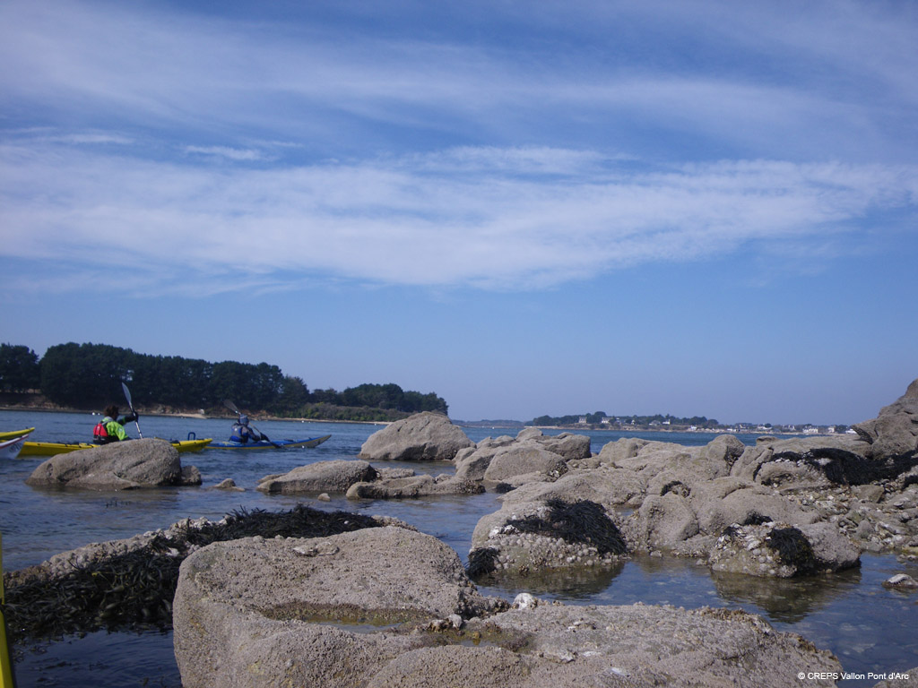 20100310_051