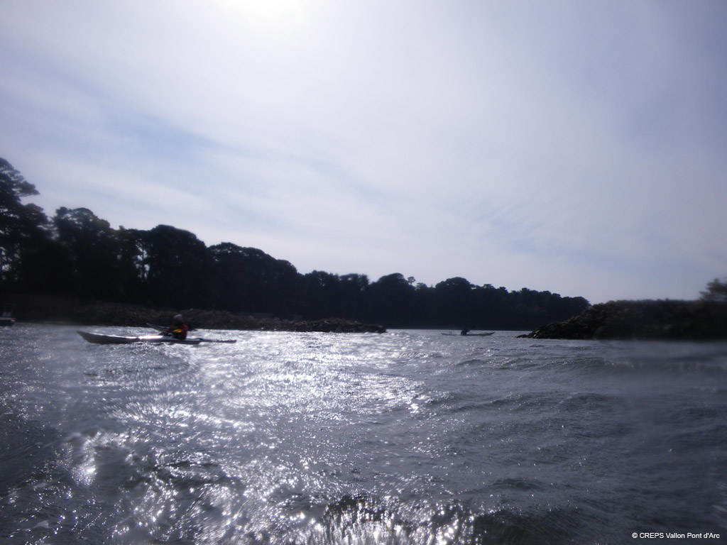 20100310_061