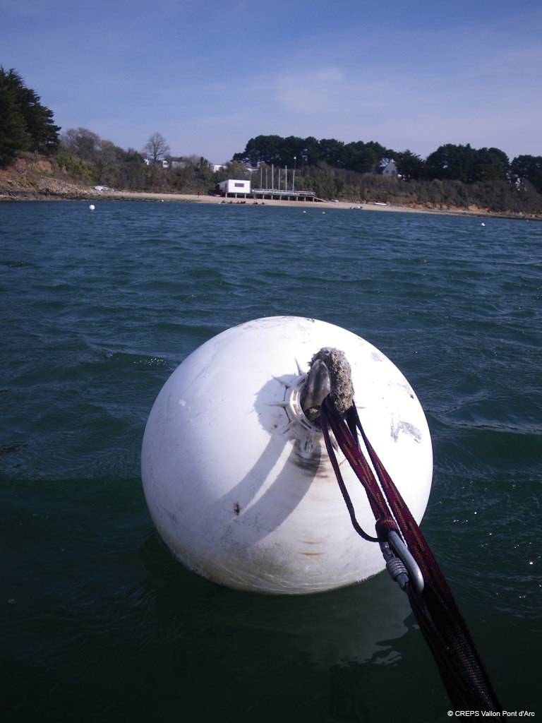 20100310_066