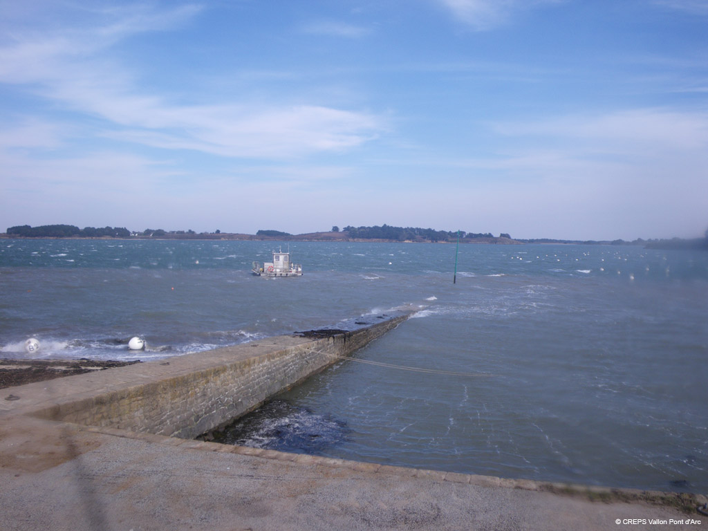 20100310_237