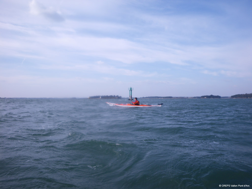 20100310_246