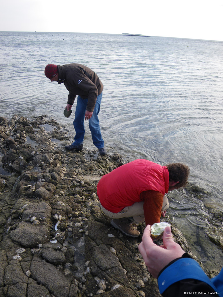 20100310_260