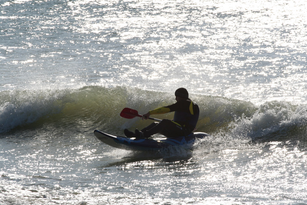 20100311_264