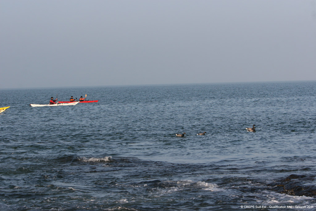 20110308d_008