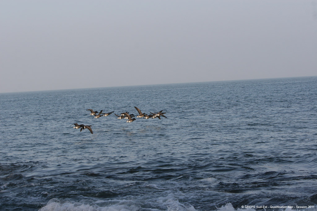 20110308d_014