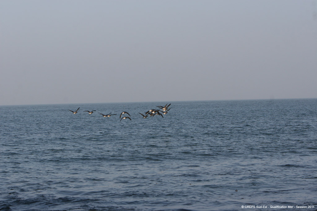 20110308d_015
