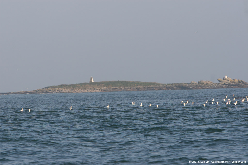 20110308d_033