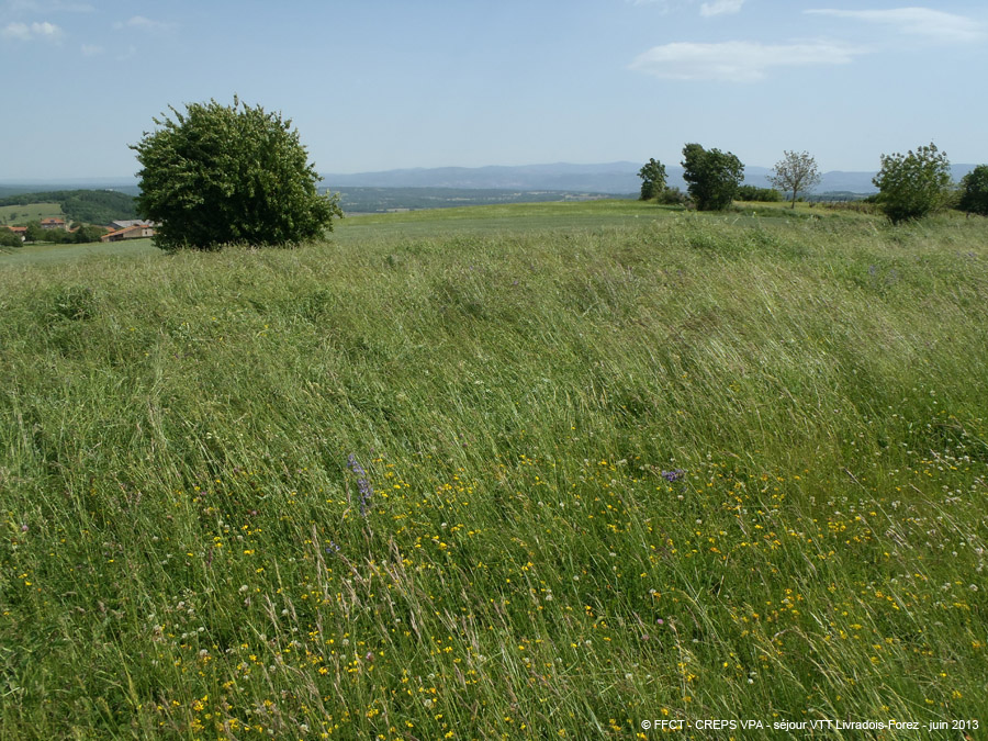 20130617_136