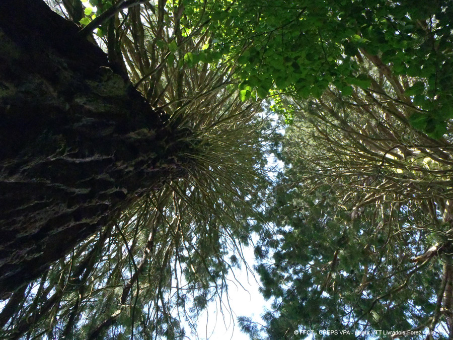 20130617_322