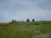 20130617_116