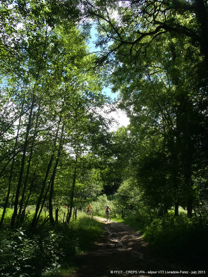 20130621_241