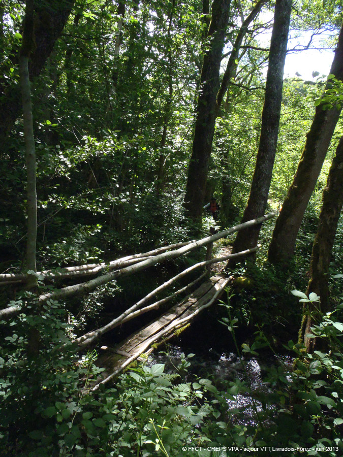 20130621_256