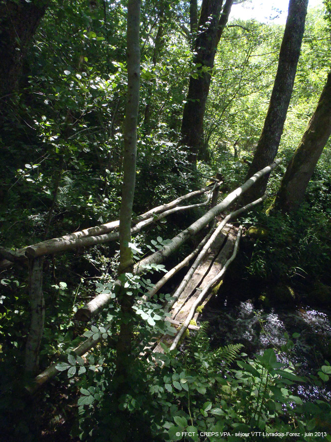 20130621_275