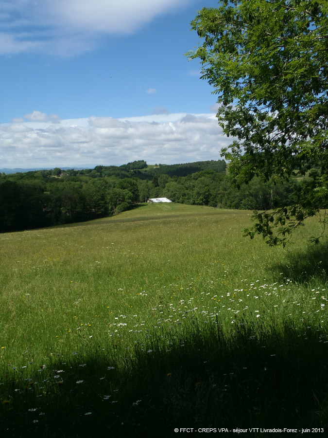 20130621_287