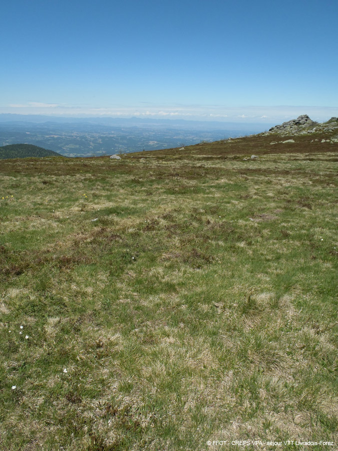 20130613_088