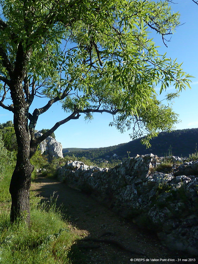 20130531_005