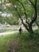 20130517_147