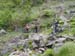 20130524a_054