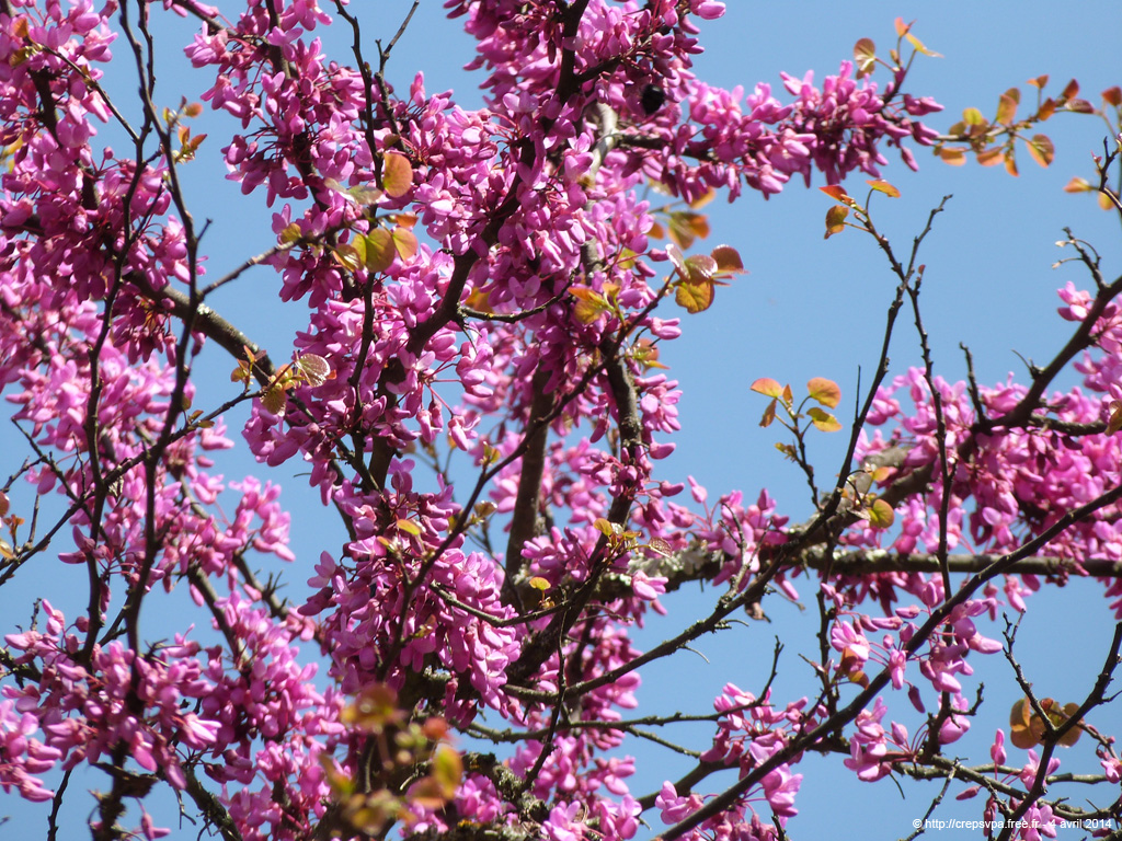 20140404_251