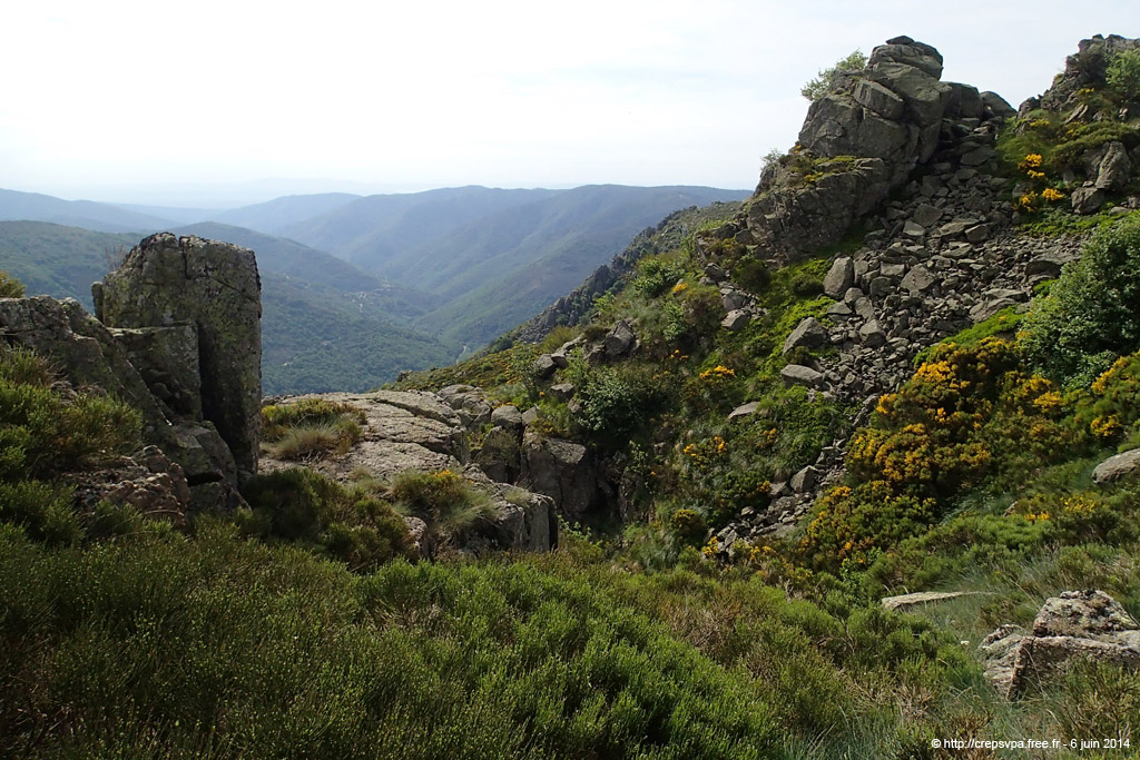 20140606_009