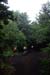 20150616_068