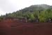 20150616_079