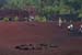 20150616_080
