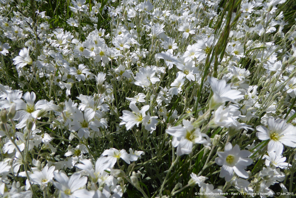 20150617_176