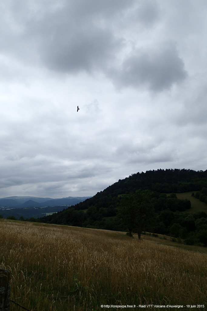 20150618_132