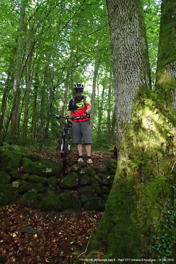 20150619_118