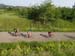 20150511_168
