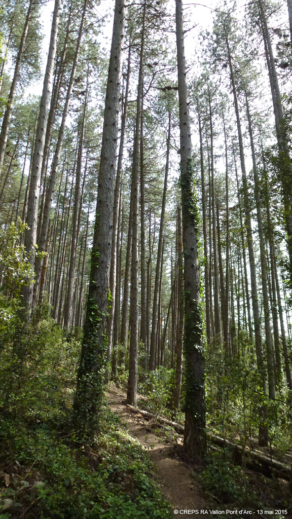 20150513_16