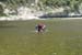 20150514_098