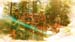 20150604_001