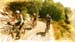 20150604_003